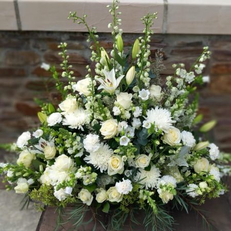 Devant de Cercueil Brume